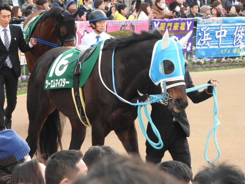 DSCN7665