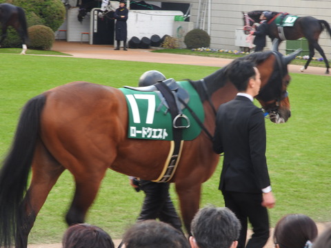 DSCN7682