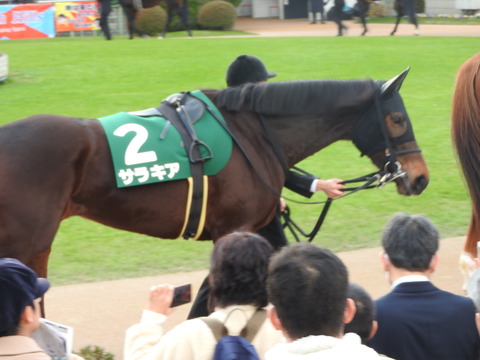 DSCN7686
