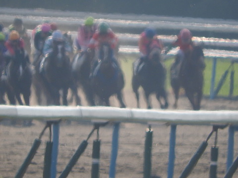 DSCN7600