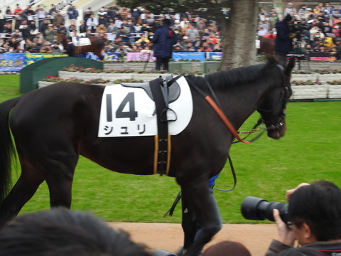 DSCN7383