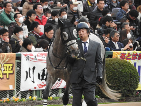 DSCN7721