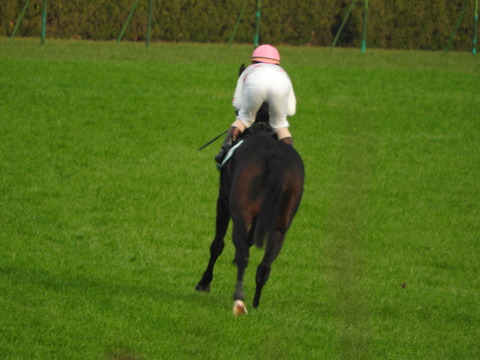 DSCN7765