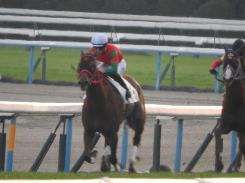 DSCN7853
