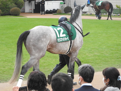 DSCN7697