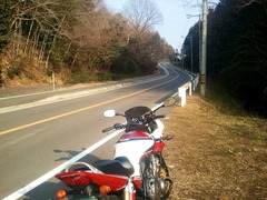 道
