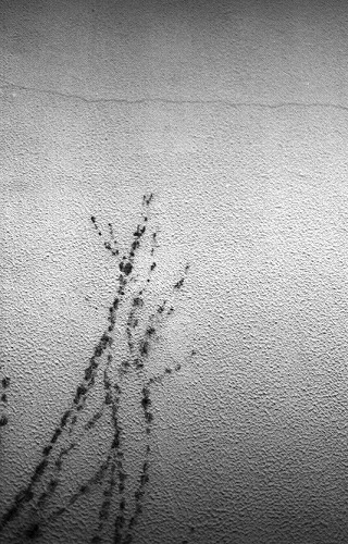 080114a