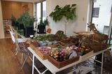 DSC00157