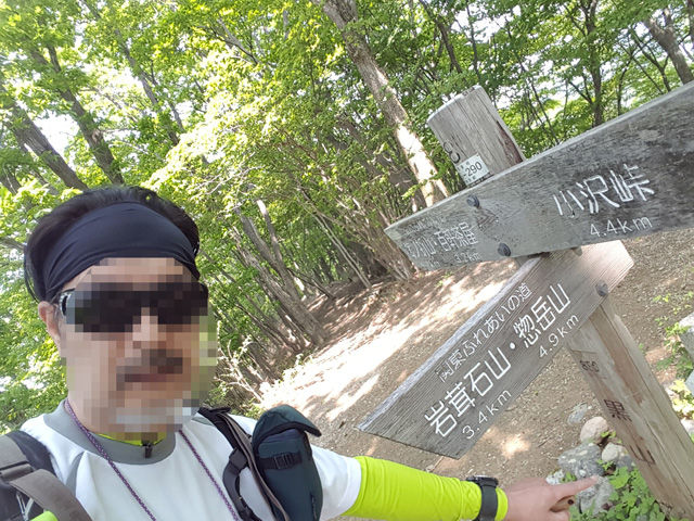 160521棒ノ折山06