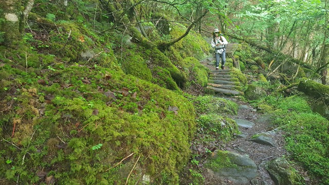 150620黒川鶏冠山00