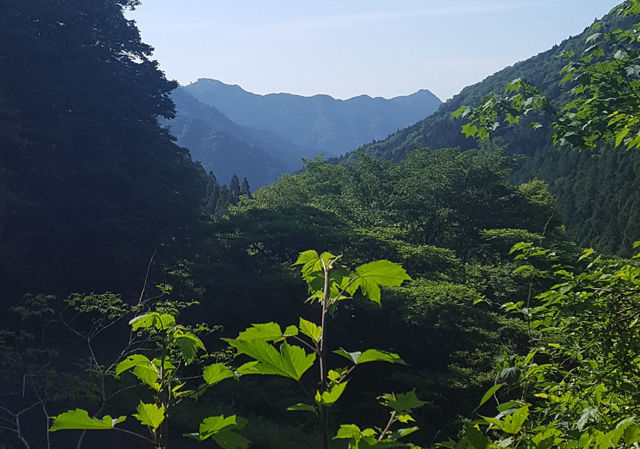 160206高水三山00