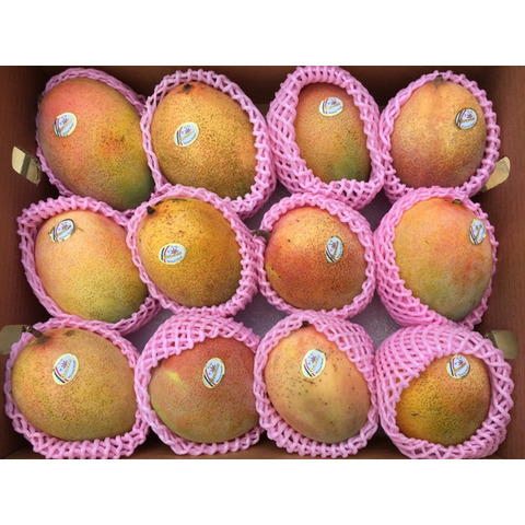 rainbowfresh-online_mx-mango-03