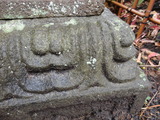 DSC02029