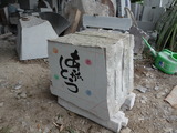 DSC06956