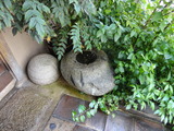 DSC06666