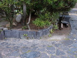 P4245280
