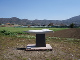 DSC07835