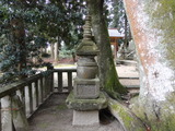 DSC02233