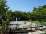 DSC06217