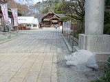 DSC07426
