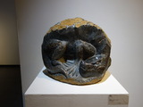 DSC04679