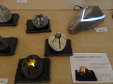 DSC02061