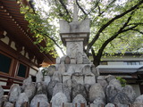 DSC06690