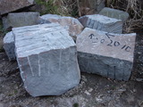 DSC04215