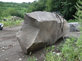 DSC05349
