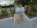 DSC06536