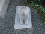 DSC07405