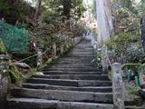 DSC07548