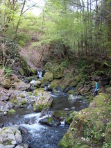 DSC04358