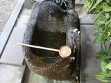 DSC07519