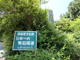 板碑