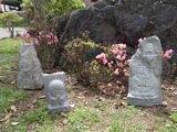 DSC04354