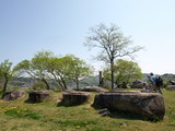 P4275354
