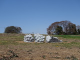 DSC07857