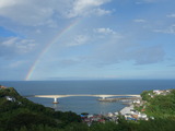 DSC06317
