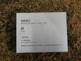 DSC02198