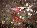 DSC05511
