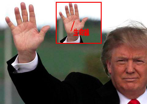 トランプ手相blogのコピー