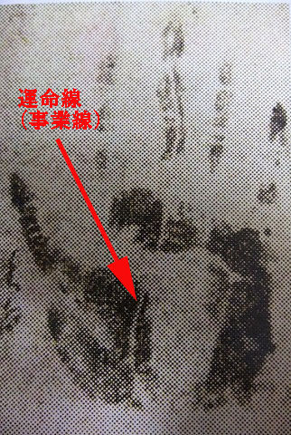 秀吉手相
