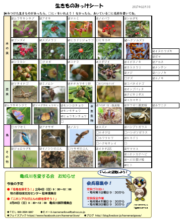 20171203 生き物めっけしーと