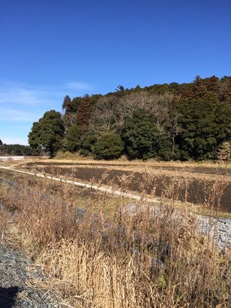 20160120 古新田川最上流 s