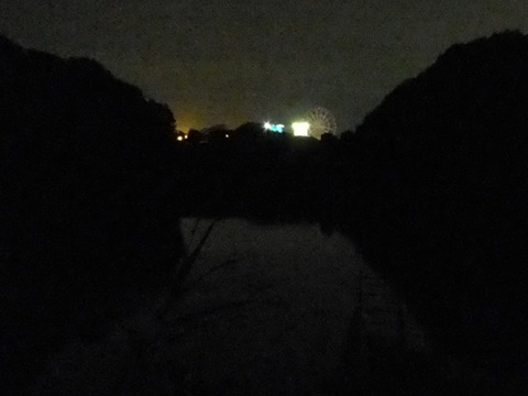 DSCF2127