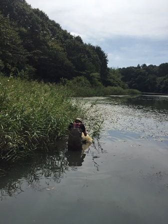 ひしとり、依田さん