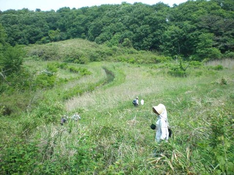 20110517別所緑地web