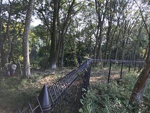 公園西側