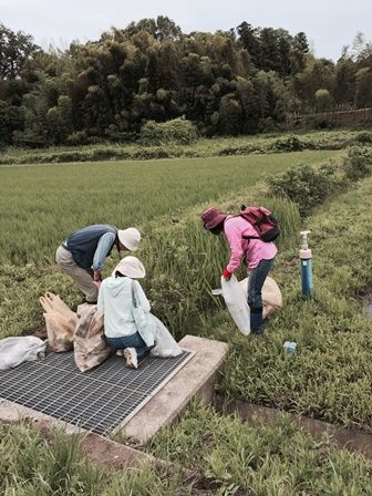20160605 シュロ候補地探し